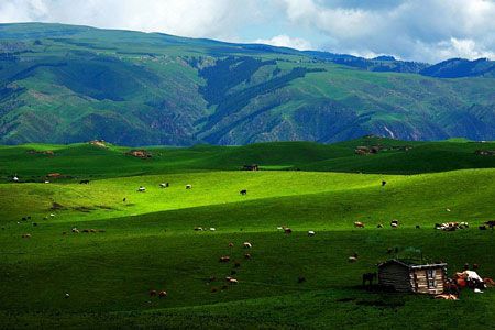 醉美北疆：全景16日攝影之旅